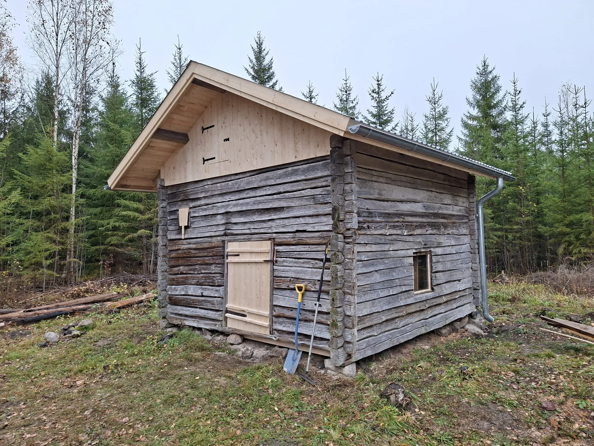 Vanha hirsirakennus metsän reunassa pilvisenä päivänä. Rakennuksessa on uusi vaalea puinen harjakatto ja metallinen sadevesijärjestelmä. Seinät ovat tummaa, säänkestävää hirttä. Edessä on pieni vaalea puinen ovi ja oikealla puolella pieni ikkuna. Oven vieressä nojaa sininen lapio ja toinen työkalu. Maa on ruohoinen, ja siinä on pudonneita lehtiä ja kiviä. Taustalla on tiheä kuusimetsä ja muutama lehtipuu.