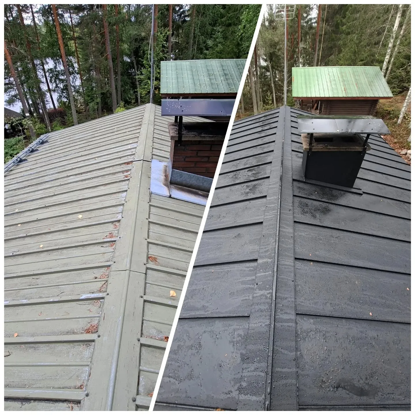 Kaksi kuvaa vierekkäin esittää peltikaton ennen ja jälkeen maalauksen. Vasemmalla puolella on vanha, haalistunut vaaleanvihreä/harmaa peltikatto, jonka maali hilseilee ja pinnalla on roskia. Tiilipiippu ja metallinen piipunhattu näkyvät. Oikealla puolella on sama katto maalattuna tummanharmaaksi, näyttäen uudelta ja märältä. Piipunhattu on myös tumma. Taustalla on metsää ja pieni rakennus vihreällä katolla.