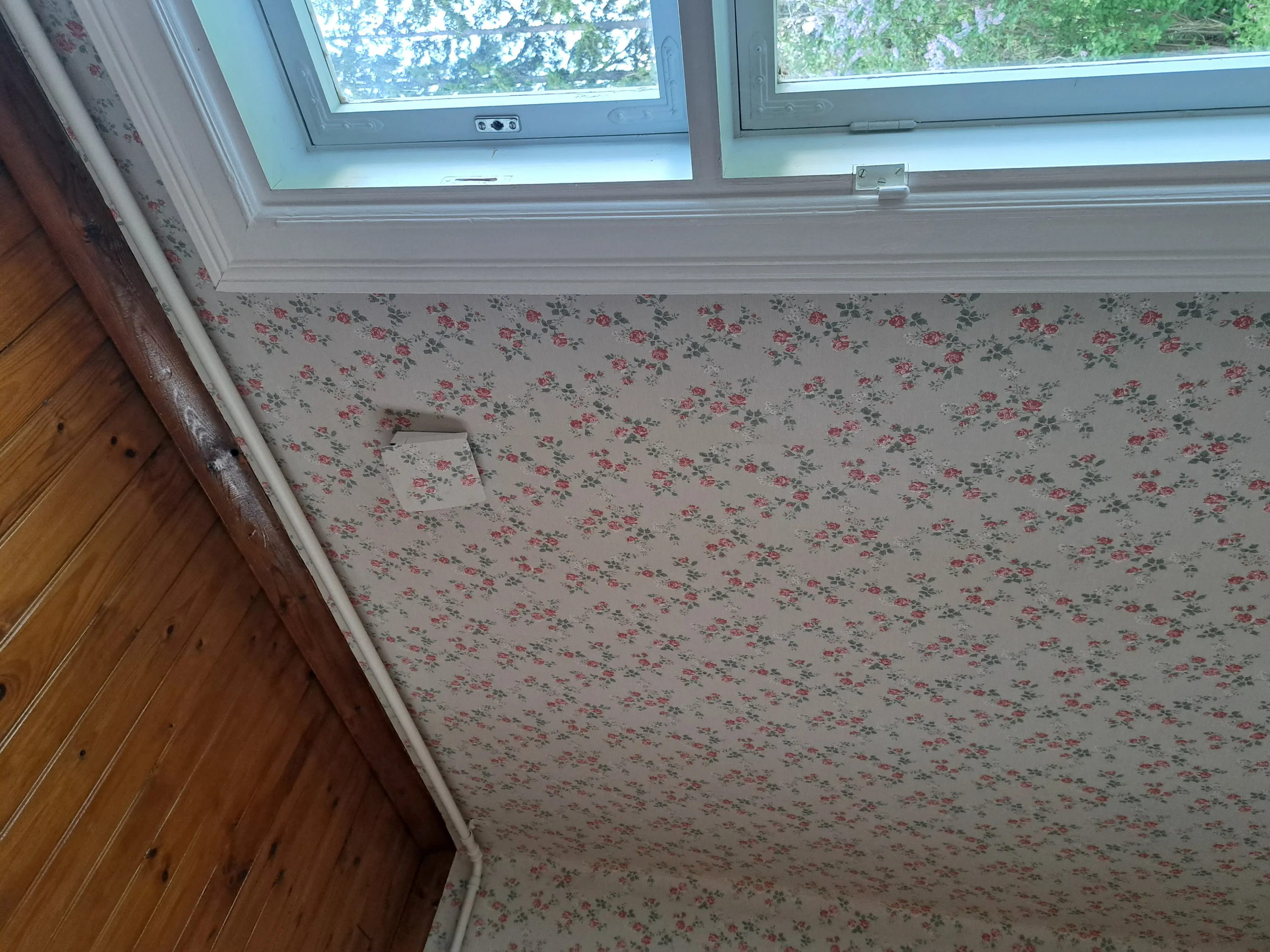 Ylöspäin otettu kuva sisätilasta, jossa katto on tapetoitu vaaleanharmaalla tapetilla, jossa on punaisia ruusuja ja vihreitä lehtiä. Vasemmalla on viisto puupaneeliseinä. Valkoinen putki kulkee puuseinän ja tapetoidun katon rajassa. Katossa on pieni valkoinen laatikko. Ylhäällä on valkoinen ikkuna, josta näkyy ulos vihreää kasvillisuutta. Tila on kirkkaasti valaistu luonnonvalolla.