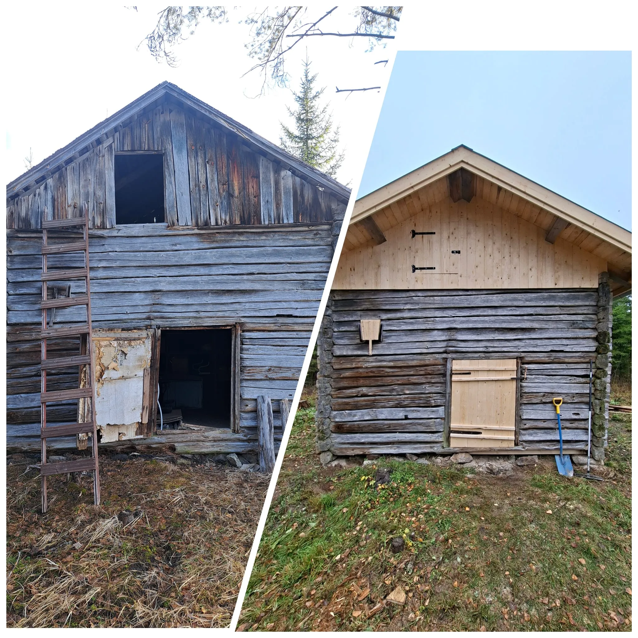 Kaksi kuvaa hirsirakennuksen kunnostuksesta, jaettu vinolla valkoisella viivalla. Vasemmalla puolella on vanha, säänpieksemä puinen rakennus tummilla hirsillä ja kuluneilla päätylaudoilla. Päädyssä on avoin aukko ja alhaalla rikkinäinen ovi. Maassa on kuivaa ruohoa ja lehtiä. Rakennusta vasten nojaa puiset tikkaat. Oikealla puolella on sama rakennus remontin jälkeen. Sen pääty on uusittu vaaleilla puulaudoilla ja siinä on uusi, vaalea puuovi tummilla saranoilla. Seinässä on myös pieni puinen linnunpönttö. Maaperä on vihreämpää ja siistimpää, ja seinää vasten nojaa sininen lapio. Vasemmalla taivas on vaalea, oikealla sininen.